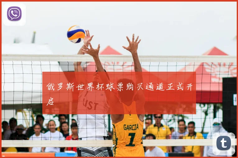 俄罗斯世界杯球票购买通道正式开启