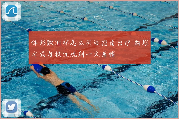 体彩欧洲杯怎么买法指南出炉 购彩方式与投注规则一文看懂
