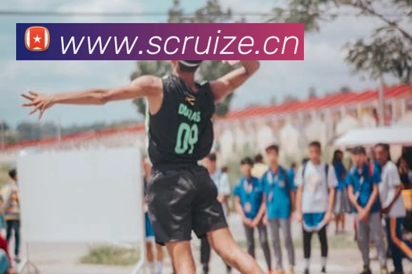 Z6·尊龙凯时「中国」官方网站平台生态图