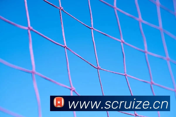 Z6·尊龙凯时「中国」官方网站APP 封面图